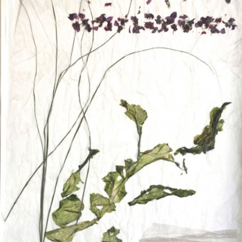 Fahnen 03,  Pergament, Blüten, Gräser, 100cm x 63cm