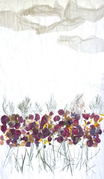fensterbilder-01
