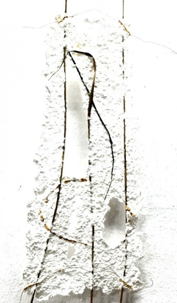 Fensterbild 08,  Flachs, Pflanzenteile, 60cm x30cm