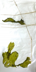 Fensterbild 03,  Pergament, Pflanzenteile, 60cm x30cm