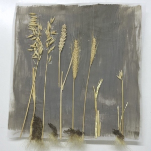 Zeitnah 05,  Pergament, Acryl, Ähren, Wurzeln